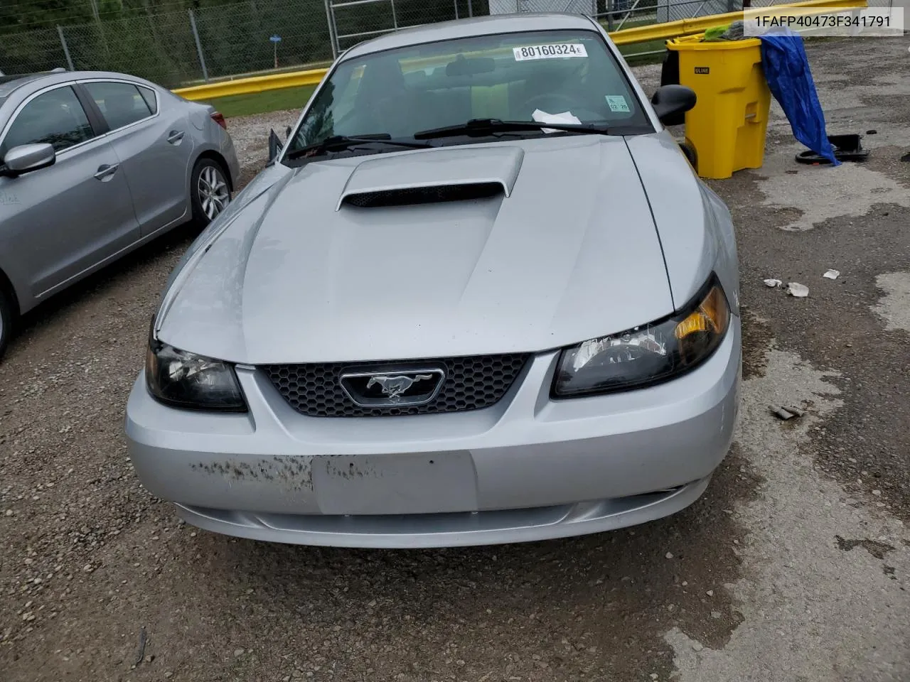 2003 Ford Mustang VIN: 1FAFP40473F341791 Lot: 80160324