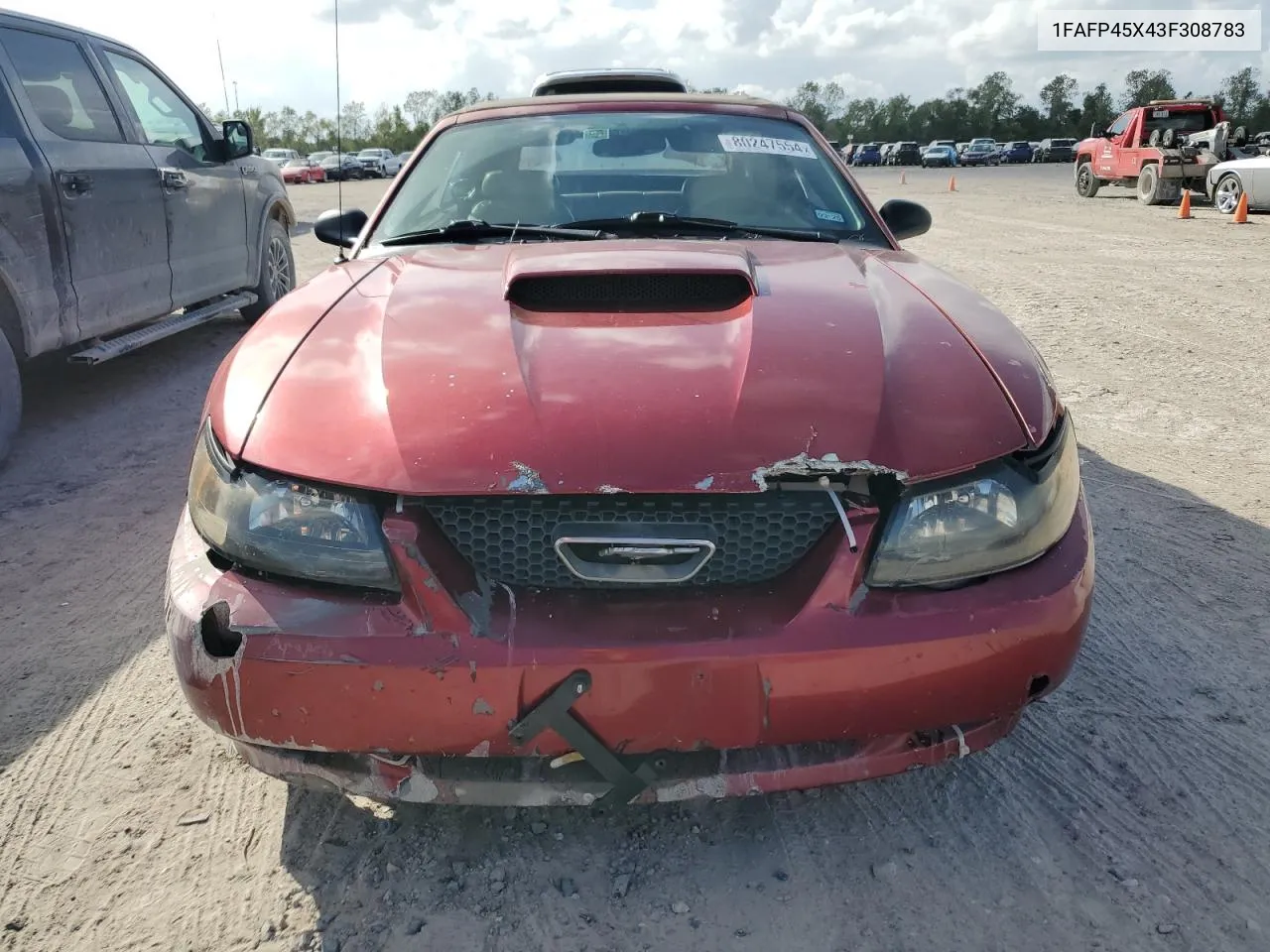 2003 Ford Mustang Gt VIN: 1FAFP45X43F308783 Lot: 80247554