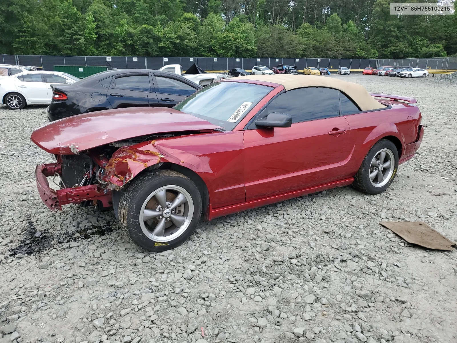 2005 Ford Mustang Gt VIN: 1ZVFT85H755100215 Lot: 65703744