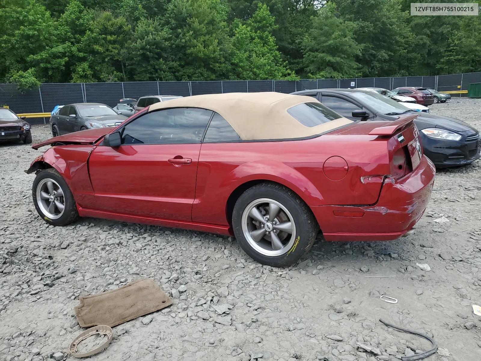 2005 Ford Mustang Gt VIN: 1ZVFT85H755100215 Lot: 65703744