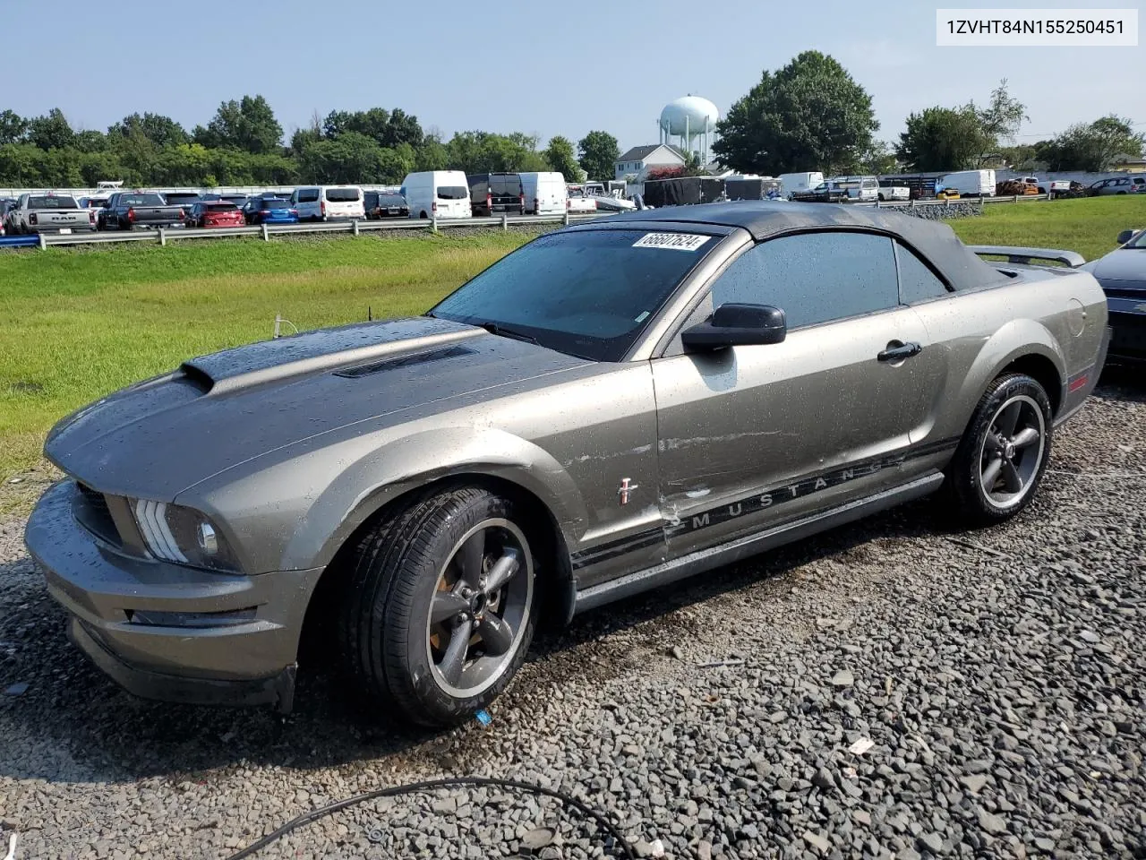 2005 Ford Mustang VIN: 1ZVHT84N155250451 Lot: 66607624