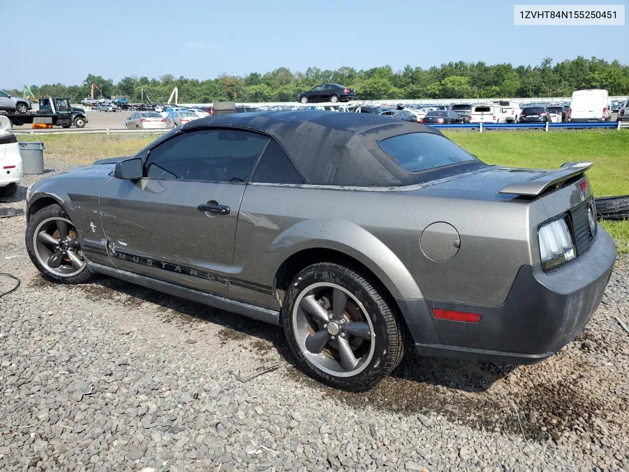 2005 Ford Mustang VIN: 1ZVHT84N155250451 Lot: 66607624