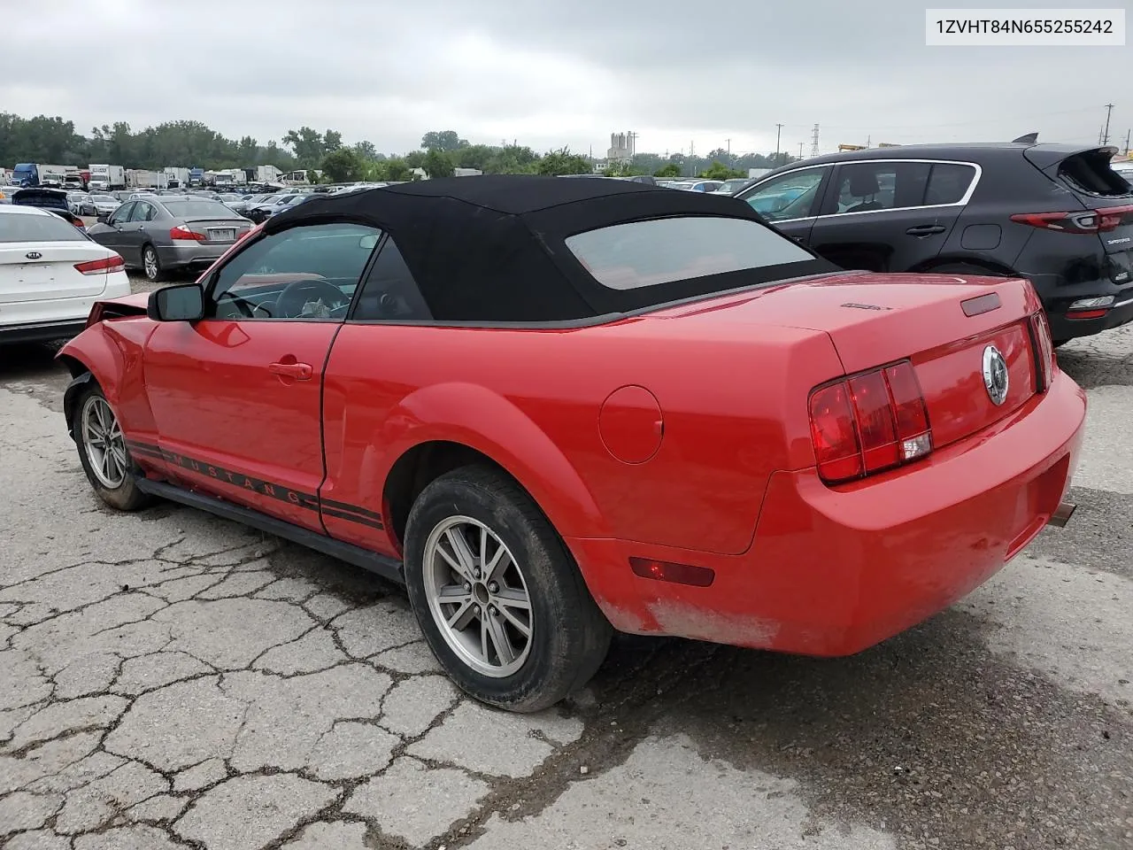 2005 Ford Mustang VIN: 1ZVHT84N655255242 Lot: 66977544