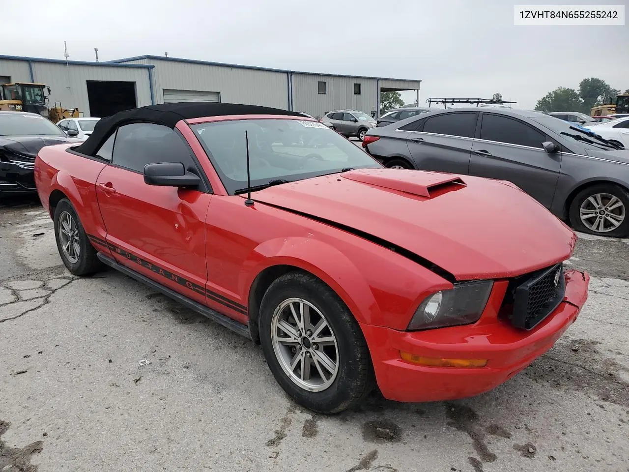 1ZVHT84N655255242 2005 Ford Mustang