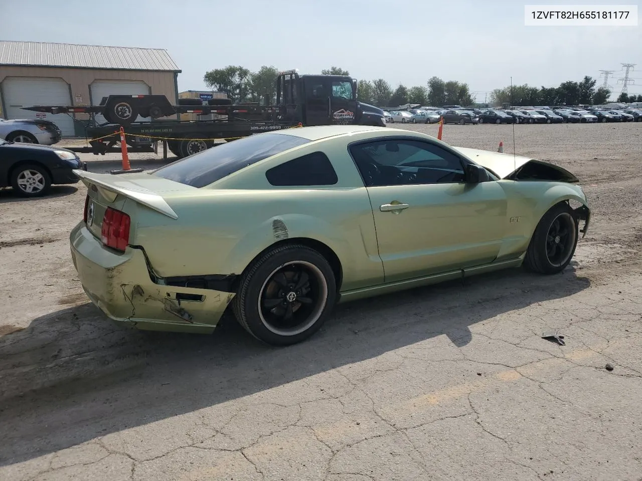 2005 Ford Mustang Gt VIN: 1ZVFT82H655181177 Lot: 69583134