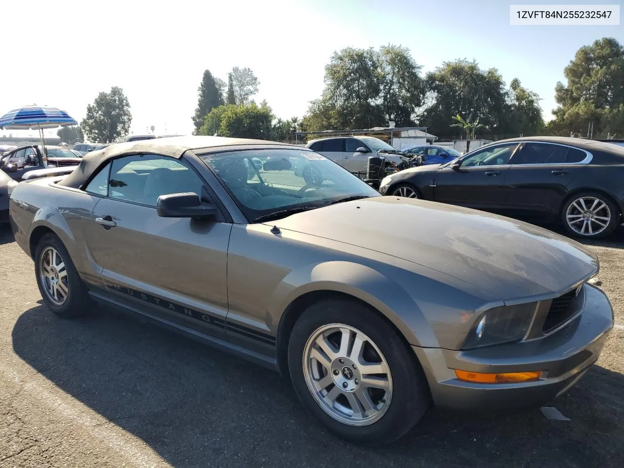 2005 Ford Mustang VIN: 1ZVFT84N255232547 Lot: 70791344