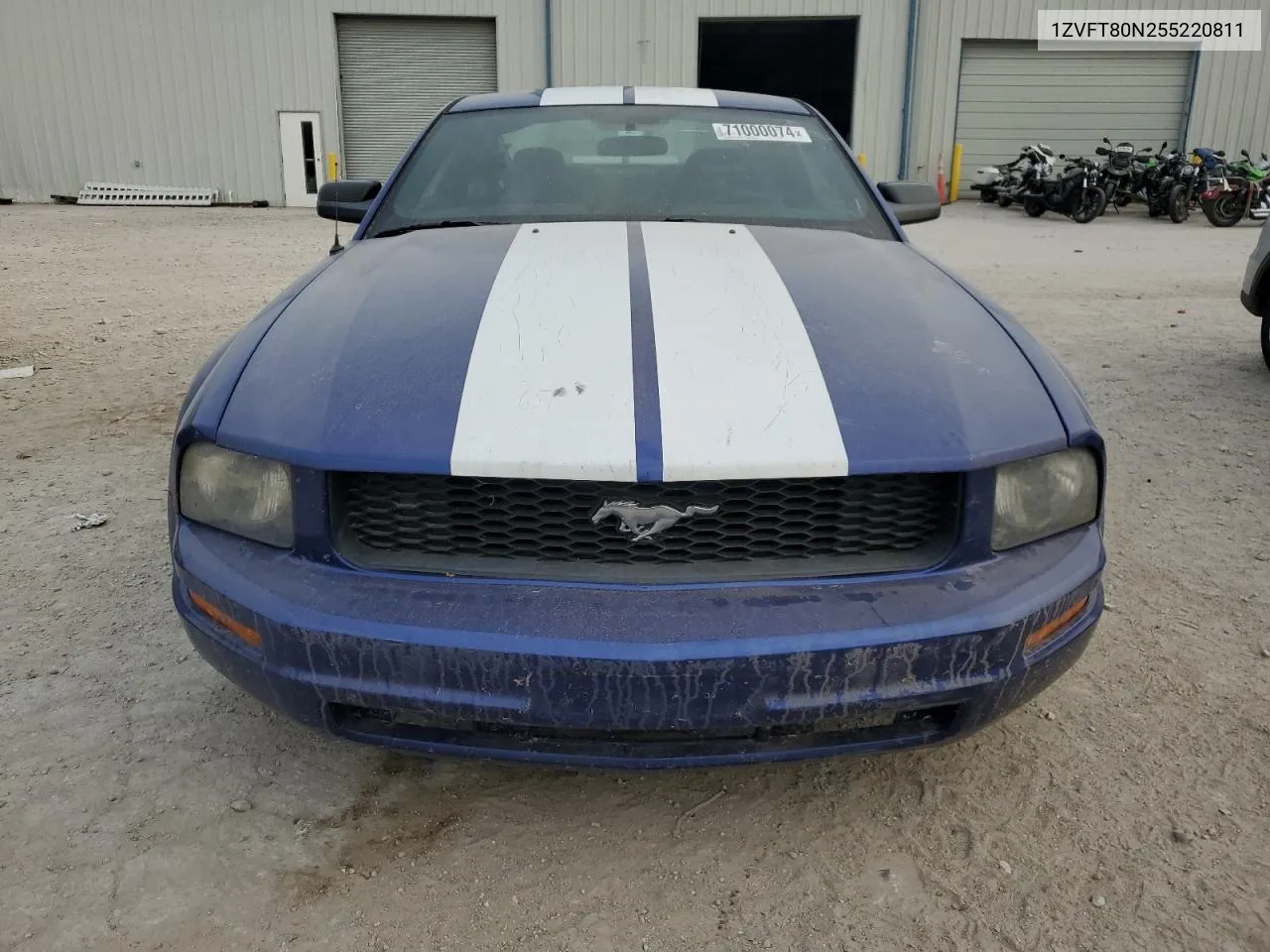 2005 Ford Mustang VIN: 1ZVFT80N255220811 Lot: 71000074