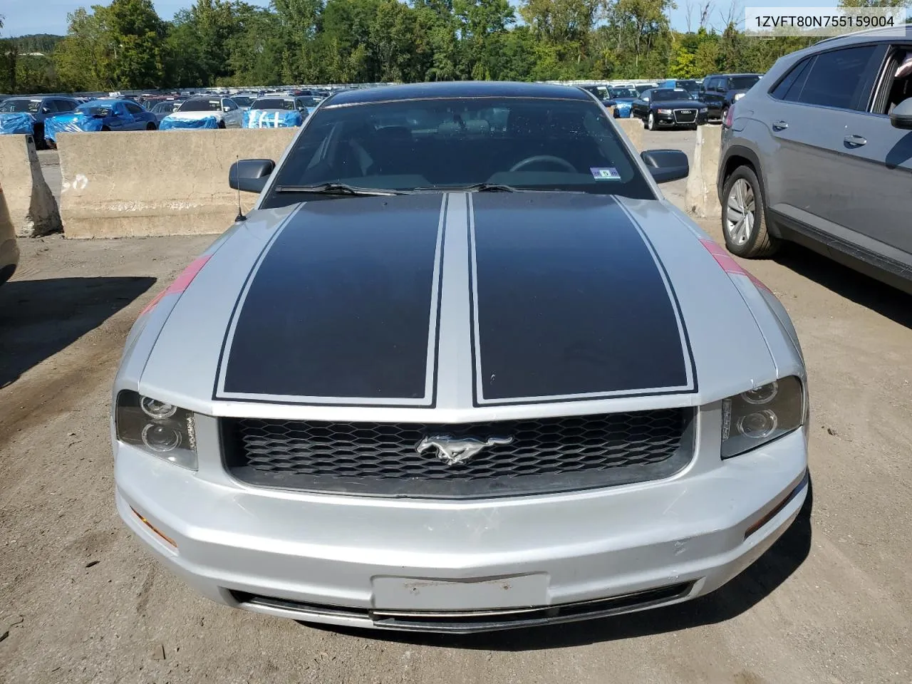 2005 Ford Mustang VIN: 1ZVFT80N755159004 Lot: 71294244