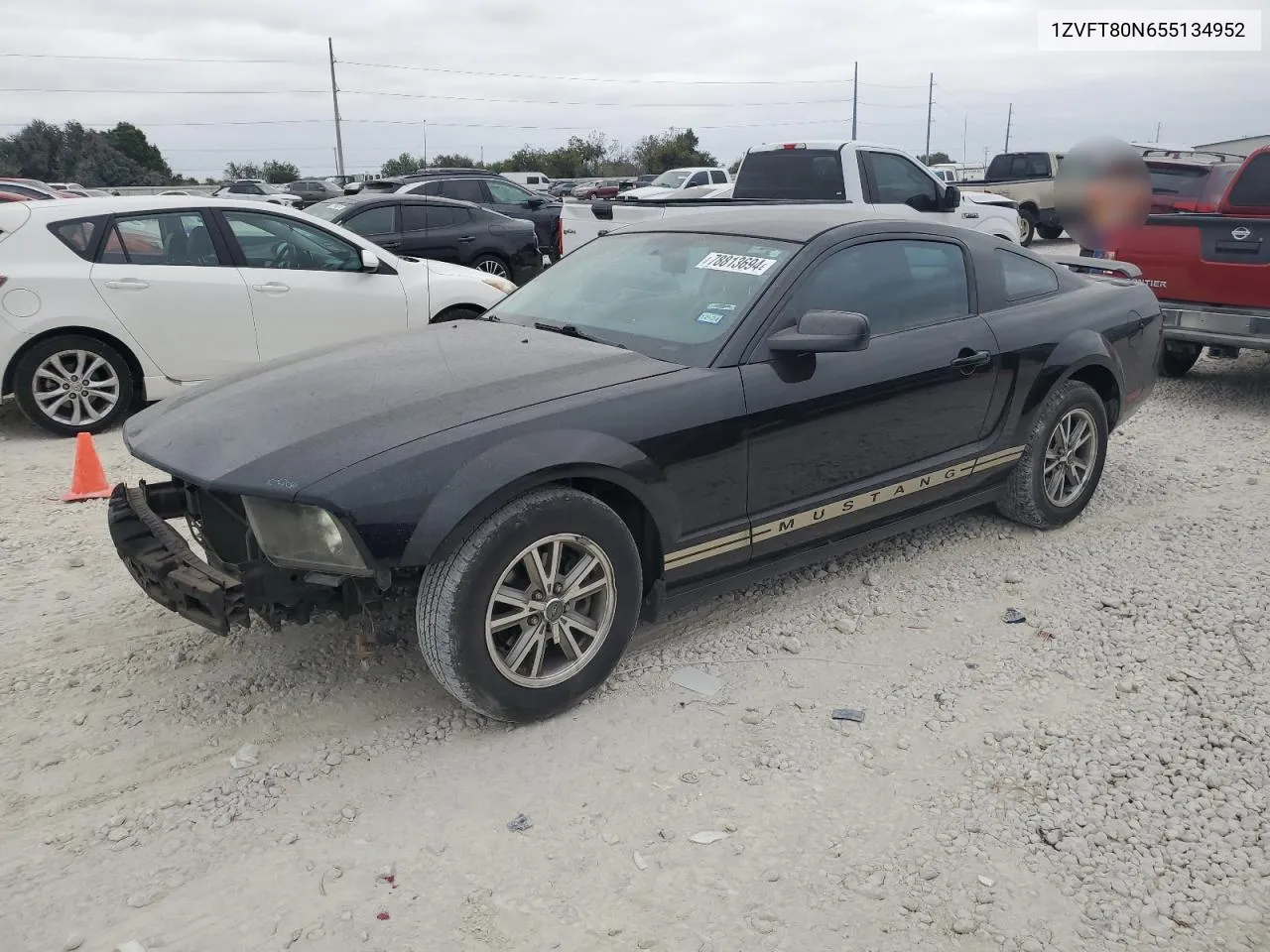 2005 Ford Mustang VIN: 1ZVFT80N655134952 Lot: 78813694