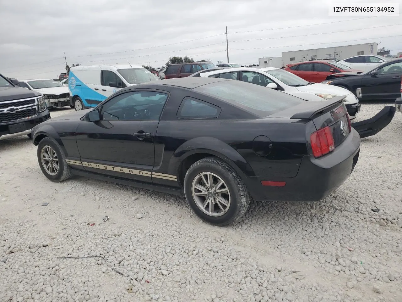 2005 Ford Mustang VIN: 1ZVFT80N655134952 Lot: 78813694