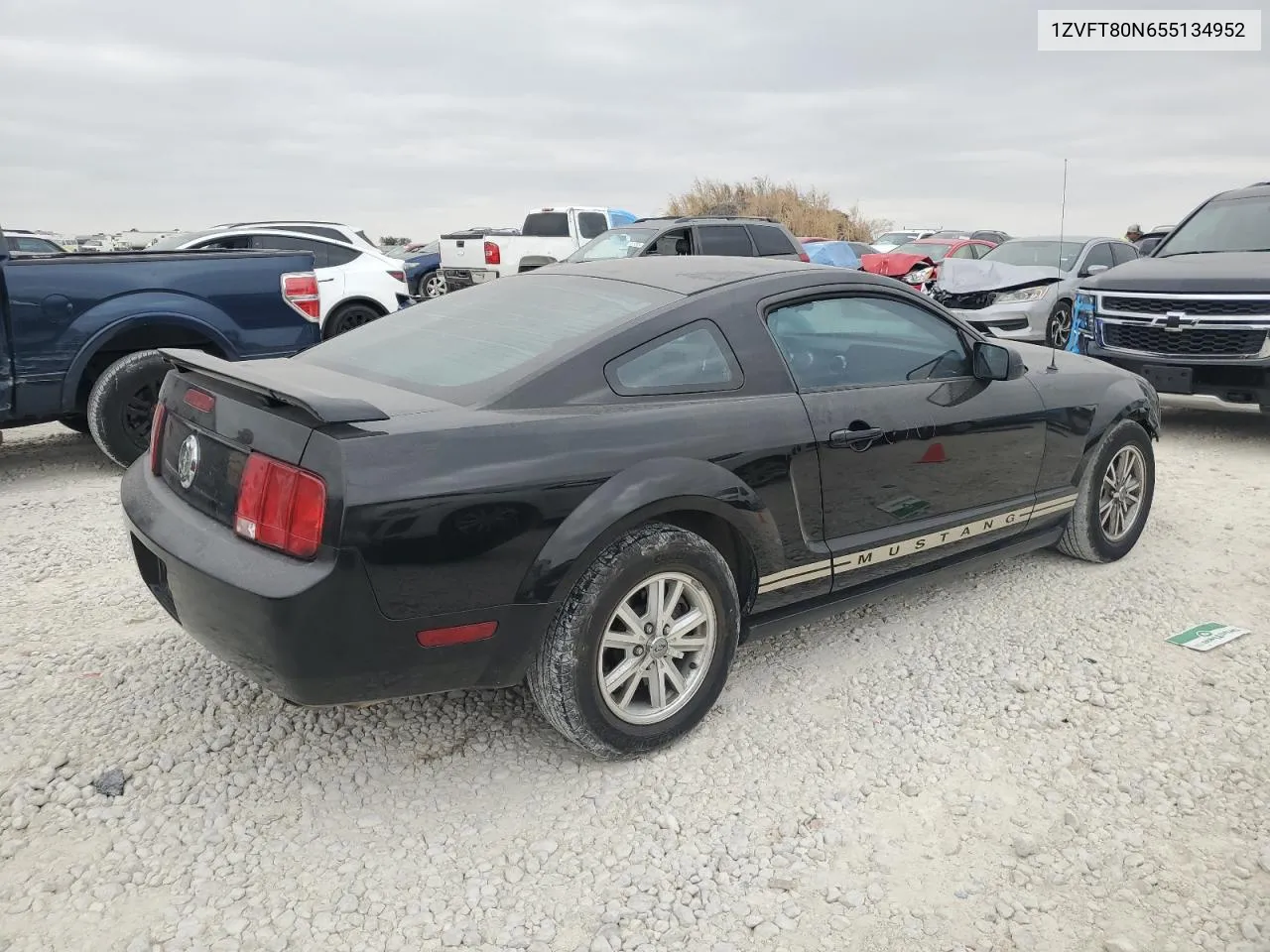 2005 Ford Mustang VIN: 1ZVFT80N655134952 Lot: 78813694