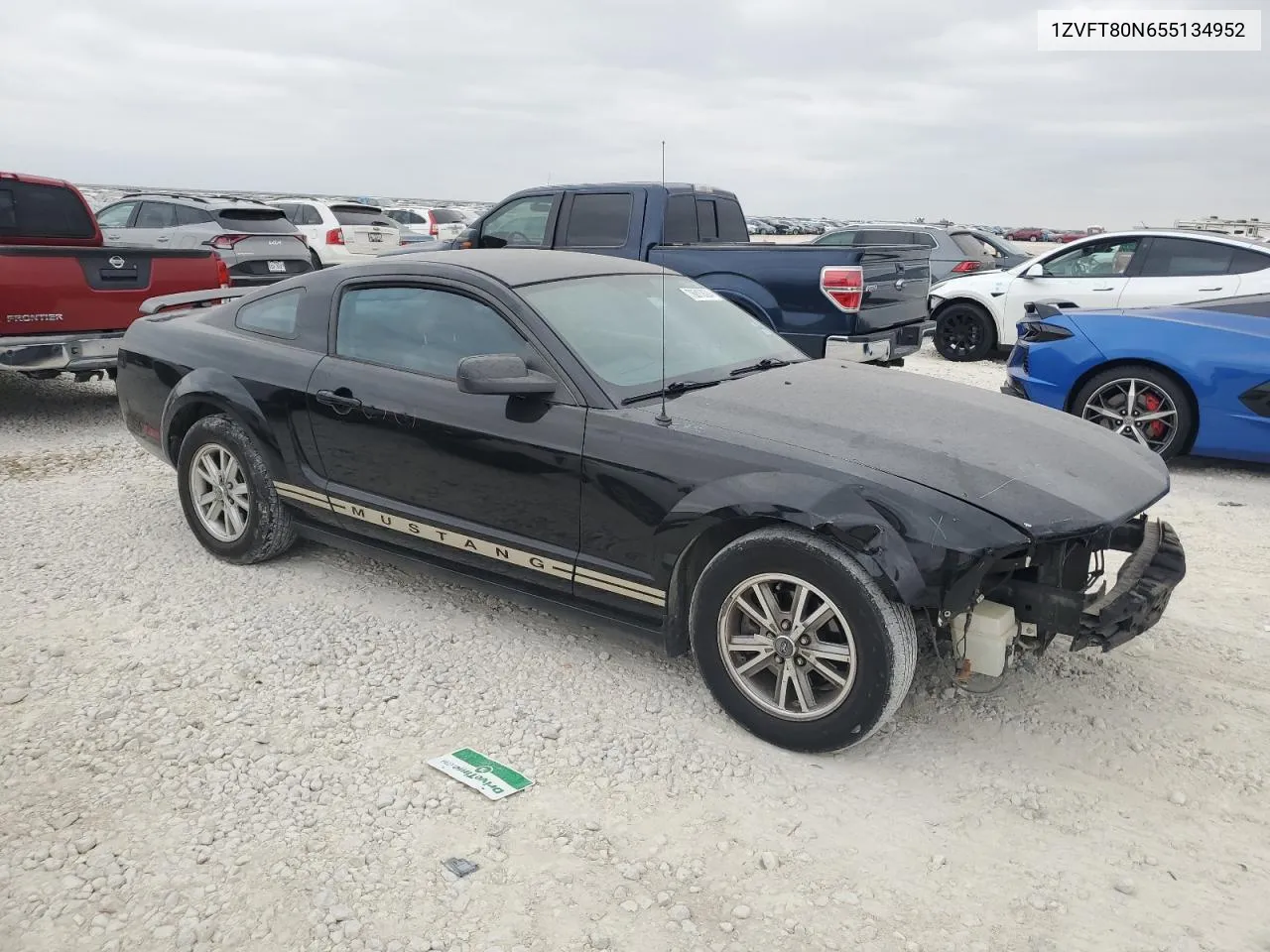 2005 Ford Mustang VIN: 1ZVFT80N655134952 Lot: 78813694