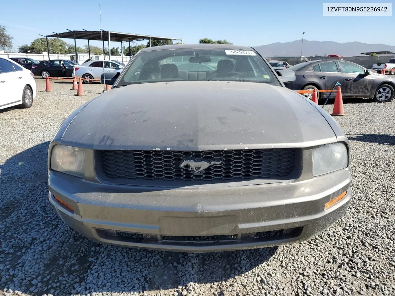 2005 Ford Mustang VIN: 1ZVFT80N955236942 Lot: 79060474