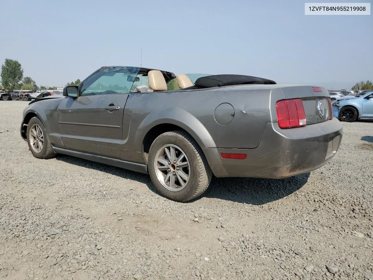 2005 Ford Mustang VIN: 1ZVFT84N955219908 Lot: 80118564