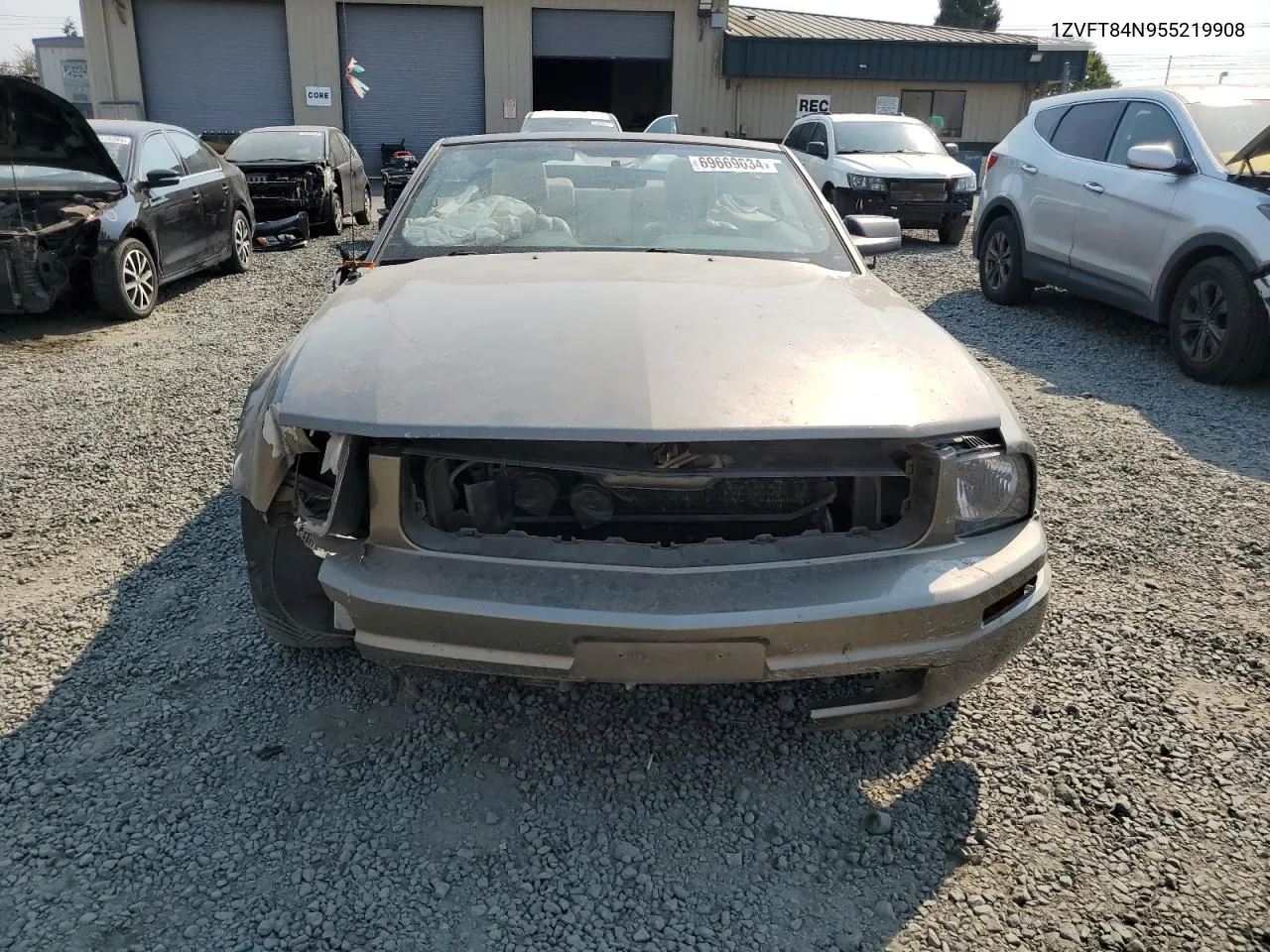 2005 Ford Mustang VIN: 1ZVFT84N955219908 Lot: 80118564