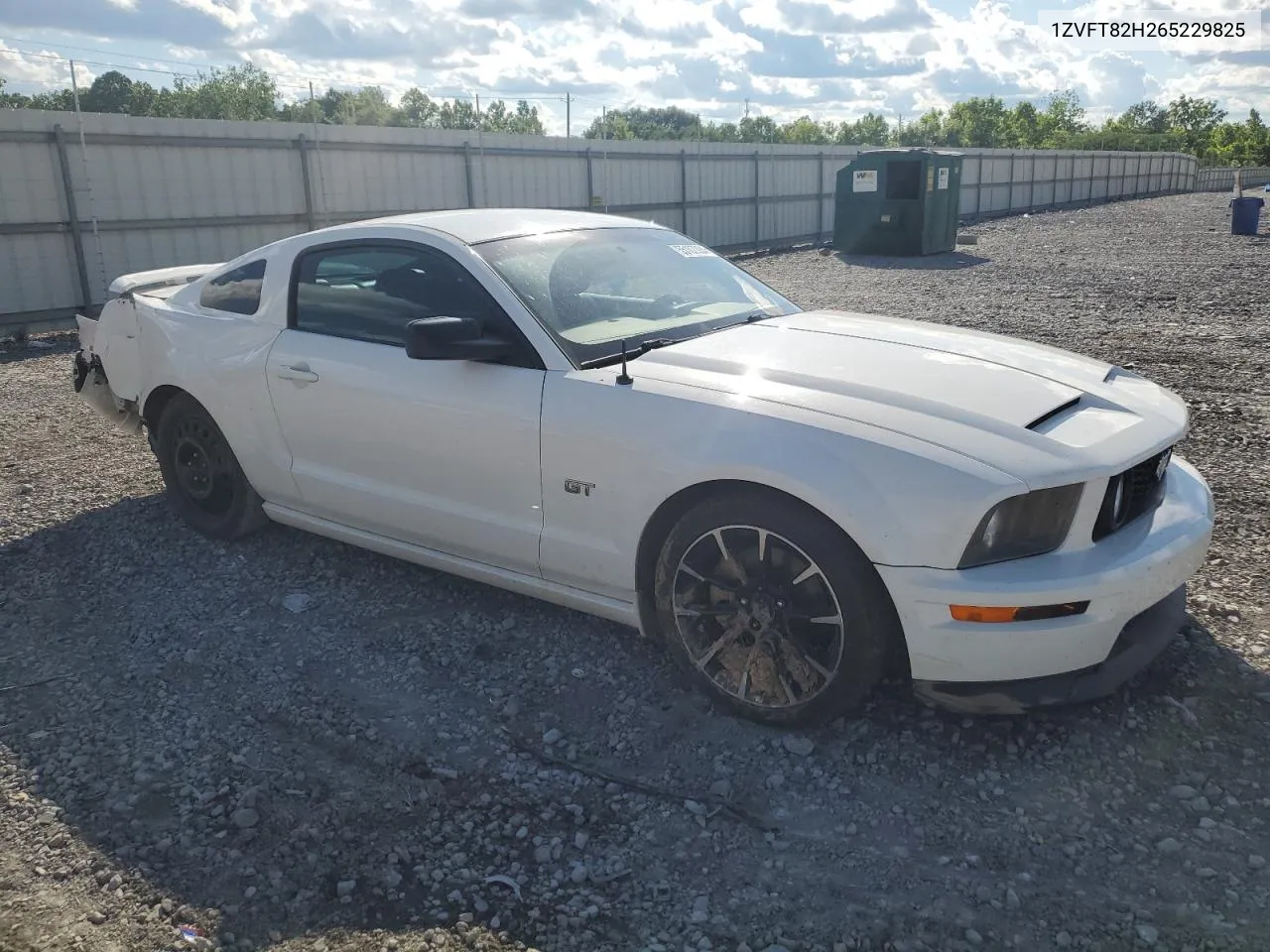 2006 Ford Mustang Gt VIN: 1ZVFT82H265229825 Lot: 55107304