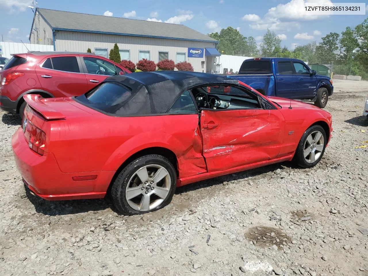 2006 Ford Mustang Gt VIN: 1ZVFT85H865134231 Lot: 55645714