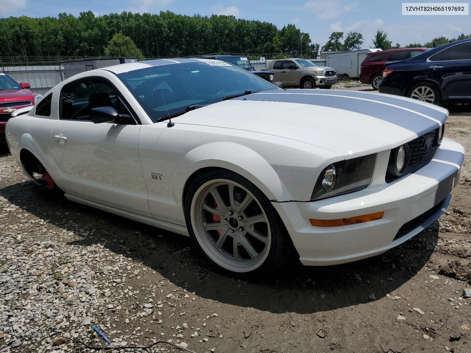 2006 Ford Mustang Gt VIN: 1ZVHT82H065197692 Lot: 58891224