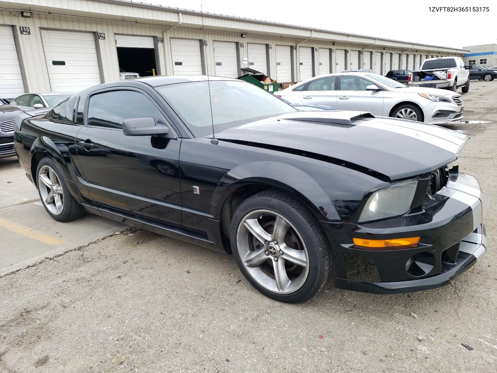 2006 Ford Mustang Gt VIN: 1ZVFT82H365153175 Lot: 60290454