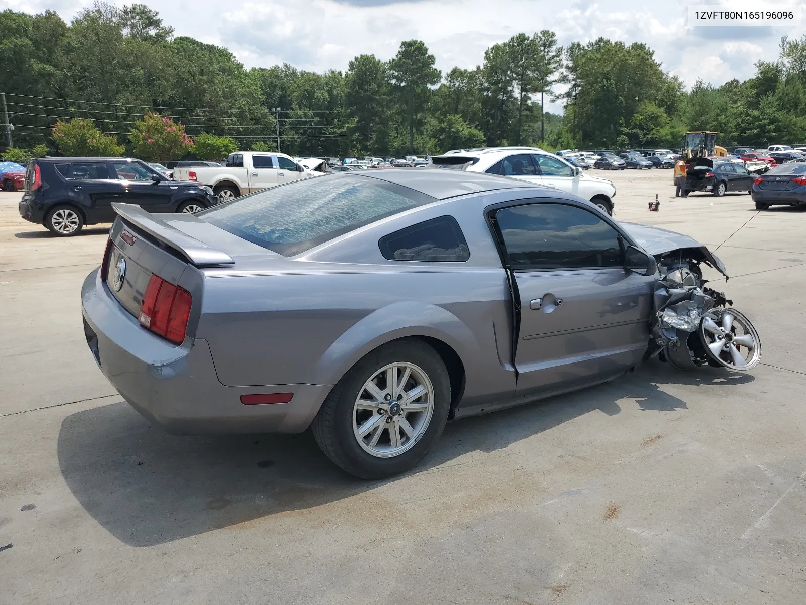 2006 Ford Mustang VIN: 1ZVFT80N165196096 Lot: 61794534