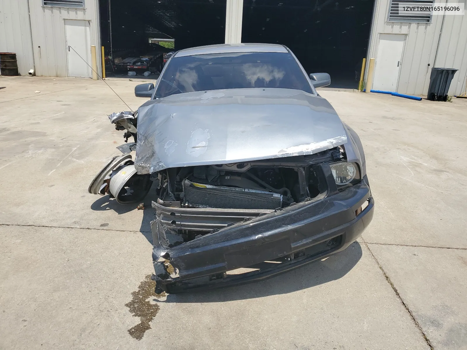 1ZVFT80N165196096 2006 Ford Mustang