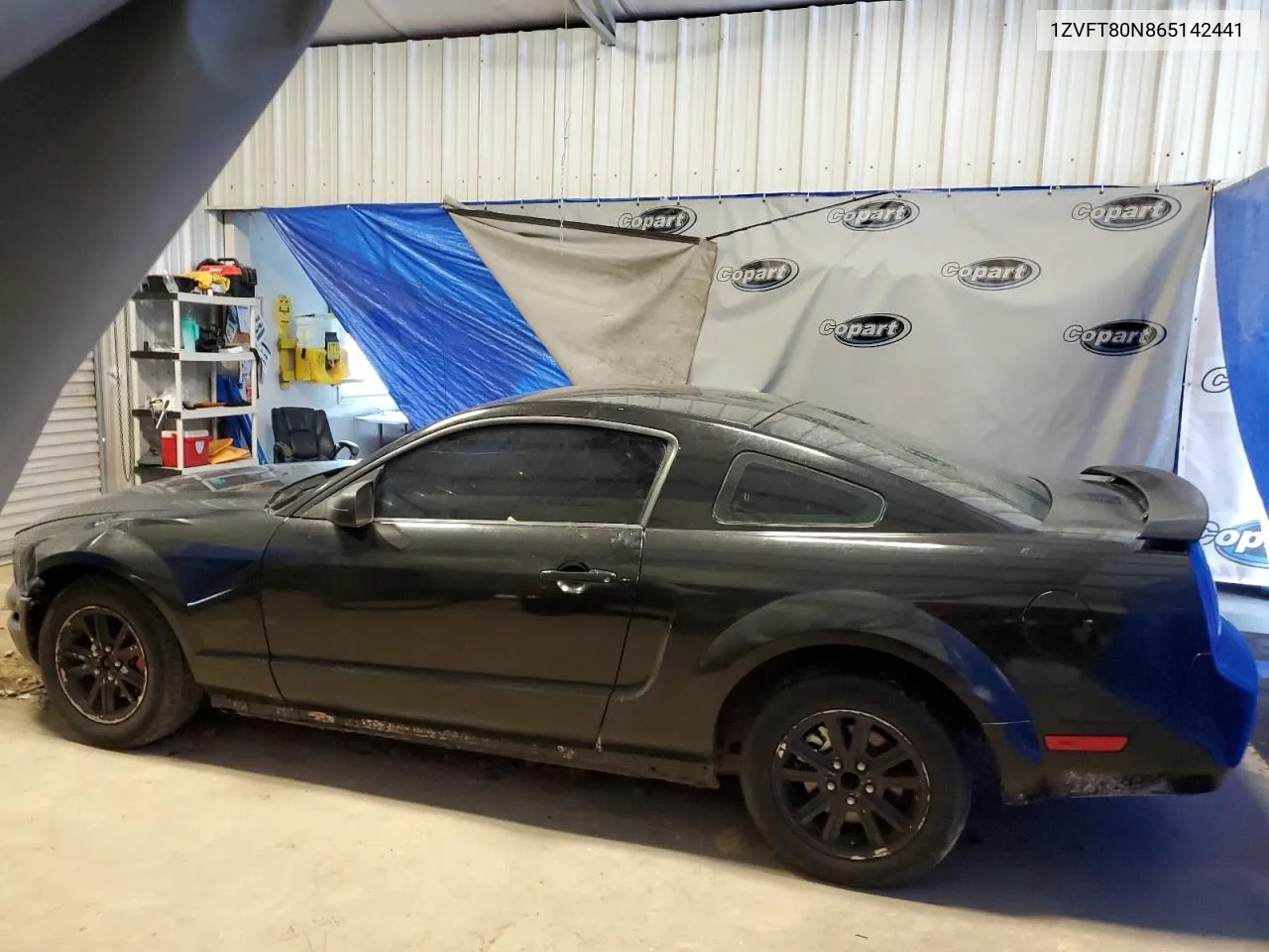 1ZVFT80N865142441 2006 Ford Mustang