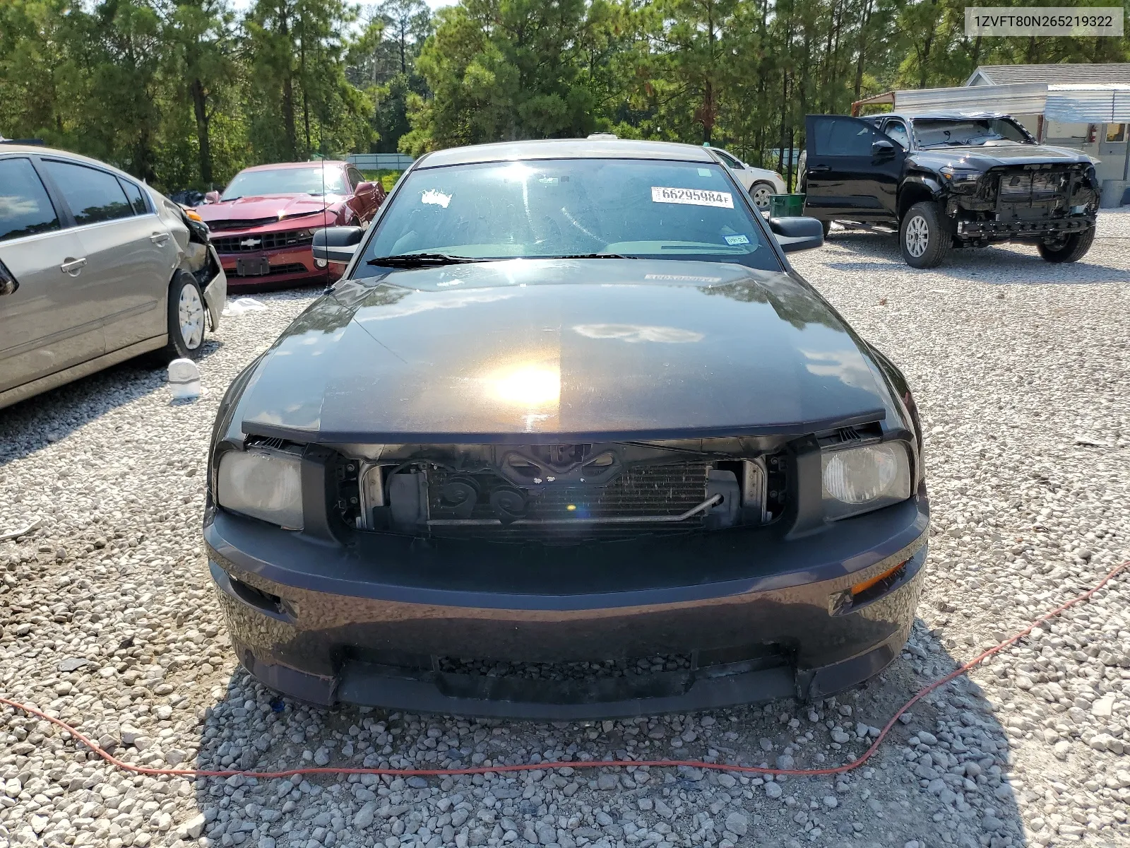 1ZVFT80N265219322 2006 Ford Mustang