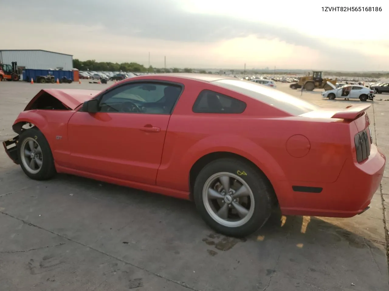 1ZVHT82H565168186 2006 Ford Mustang Gt