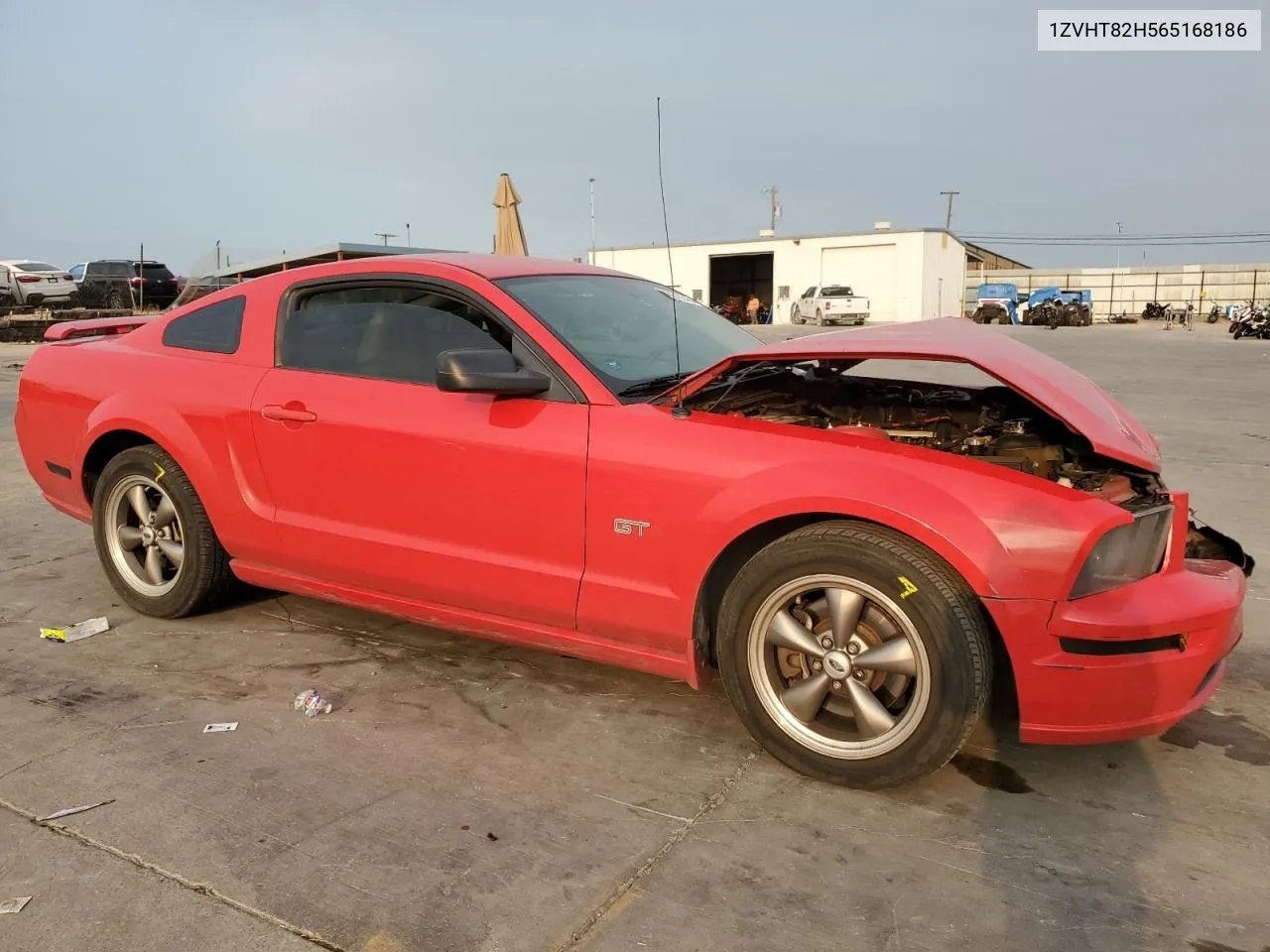 2006 Ford Mustang Gt VIN: 1ZVHT82H565168186 Lot: 66792484