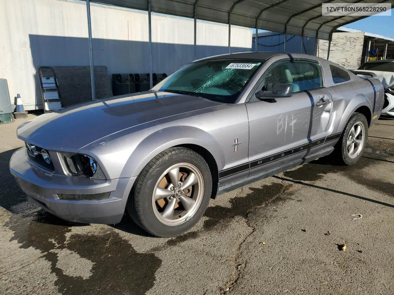 2006 Ford Mustang VIN: 1ZVFT80N565228290 Lot: 67533684