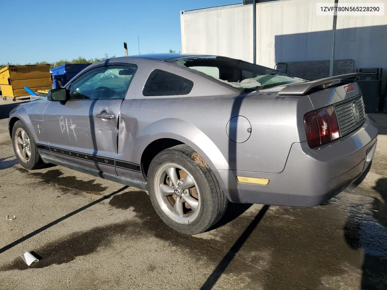 2006 Ford Mustang VIN: 1ZVFT80N565228290 Lot: 67533684