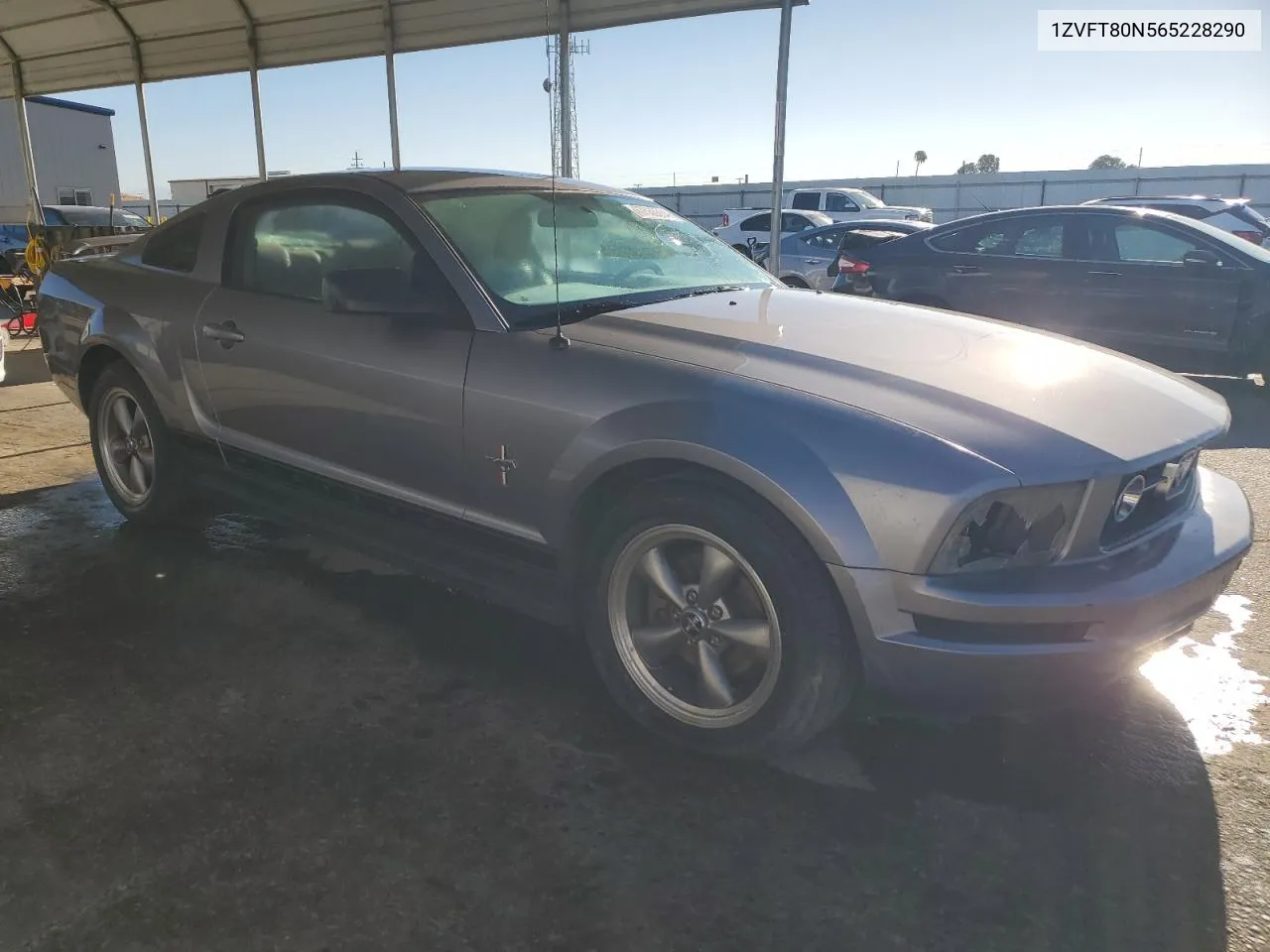 2006 Ford Mustang VIN: 1ZVFT80N565228290 Lot: 67533684