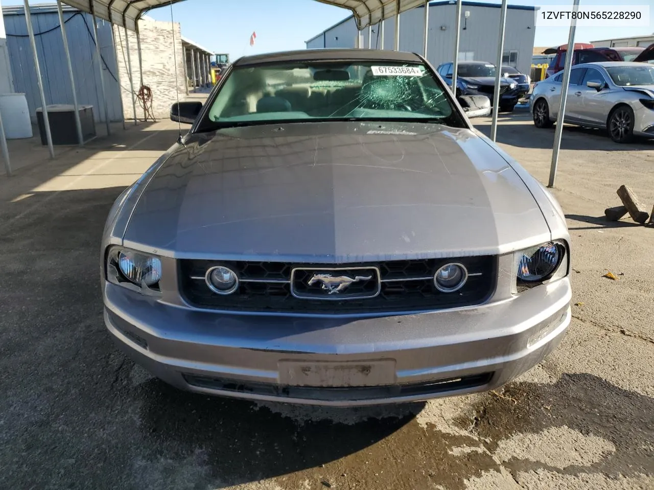 2006 Ford Mustang VIN: 1ZVFT80N565228290 Lot: 67533684