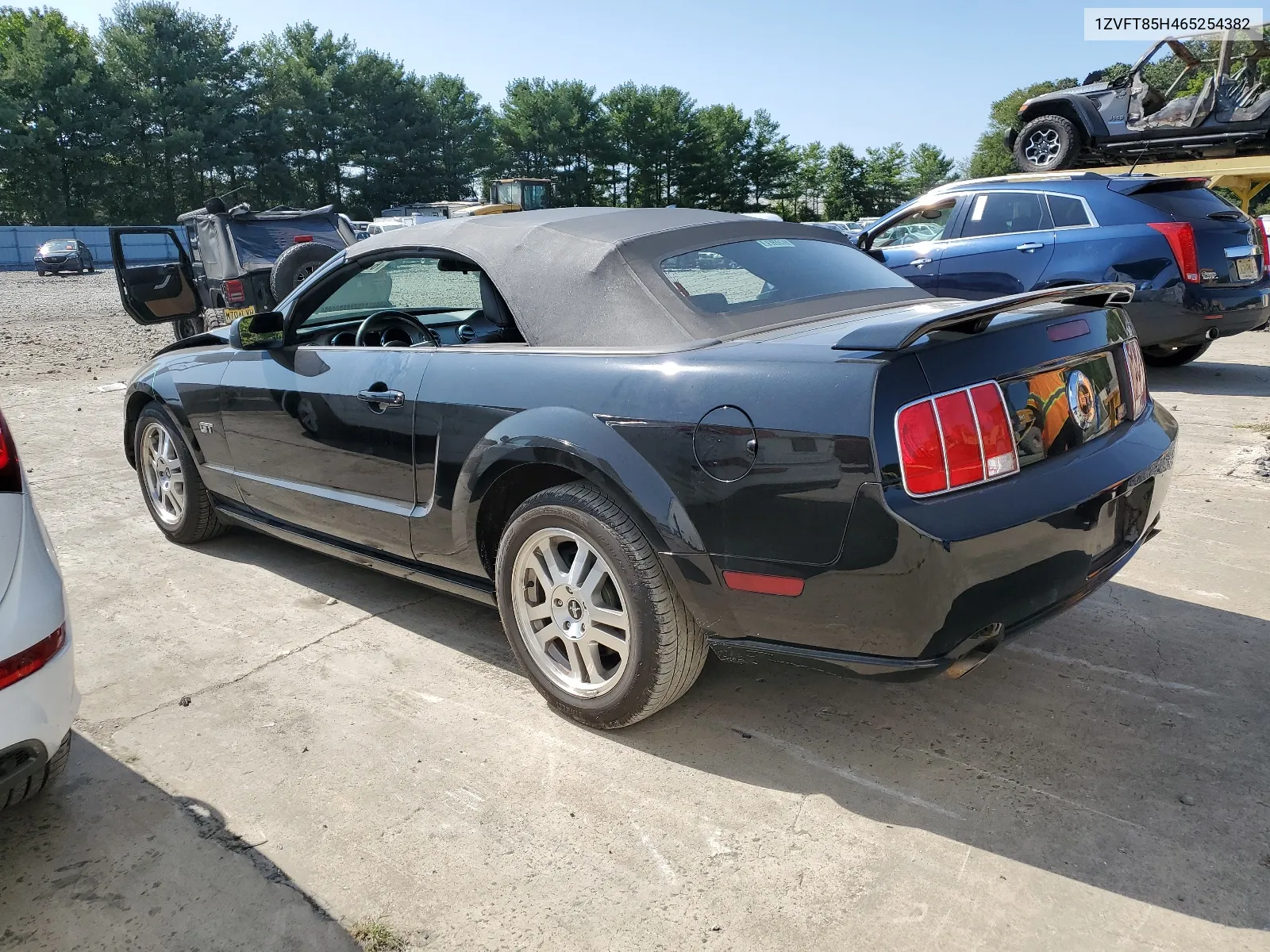 2006 Ford Mustang Gt VIN: 1ZVFT85H465254382 Lot: 67536114