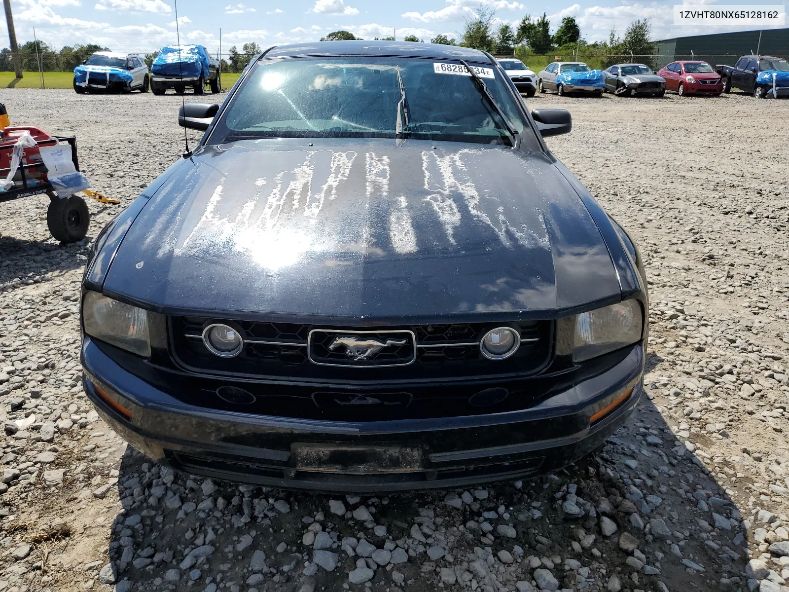 2006 Ford Mustang VIN: 1ZVHT80NX65128162 Lot: 68285034