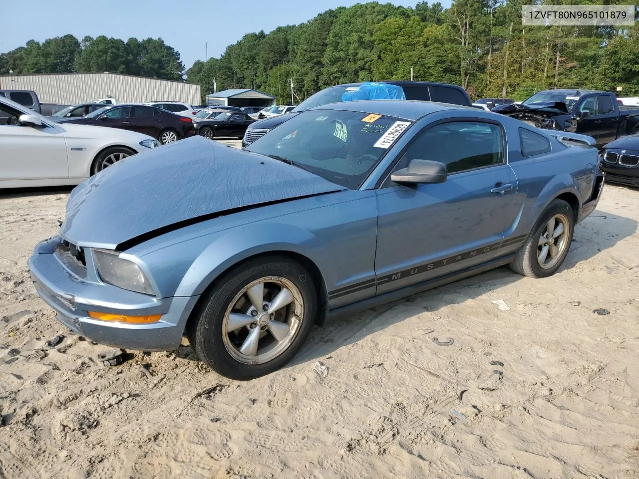 2006 Ford Mustang VIN: 1ZVFT80N965101879 Lot: 68968174