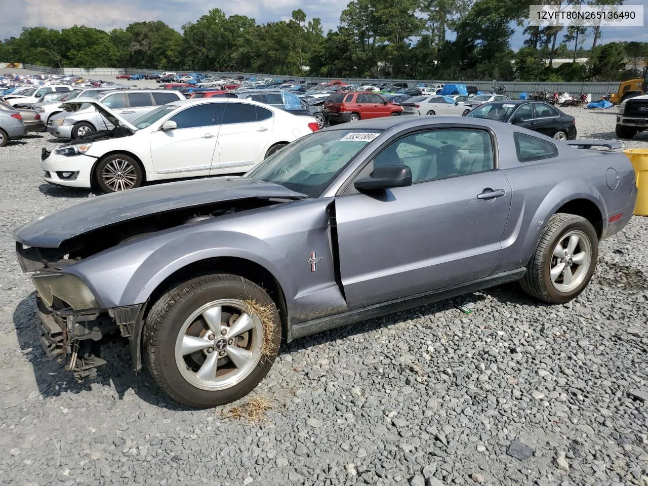 2006 Ford Mustang VIN: 1ZVFT80N265136490 Lot: 69305244