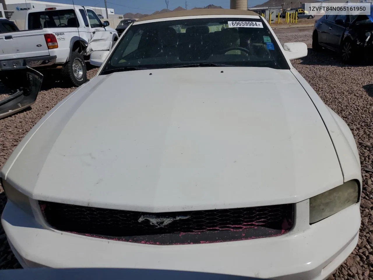 2006 Ford Mustang VIN: 1ZVFT84N065161950 Lot: 69659984