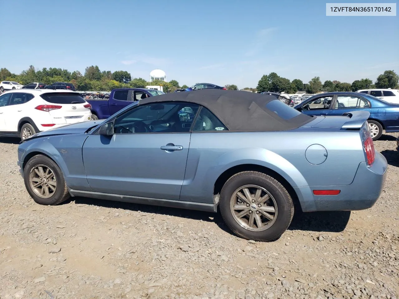 2006 Ford Mustang VIN: 1ZVFT84N365170142 Lot: 69786074