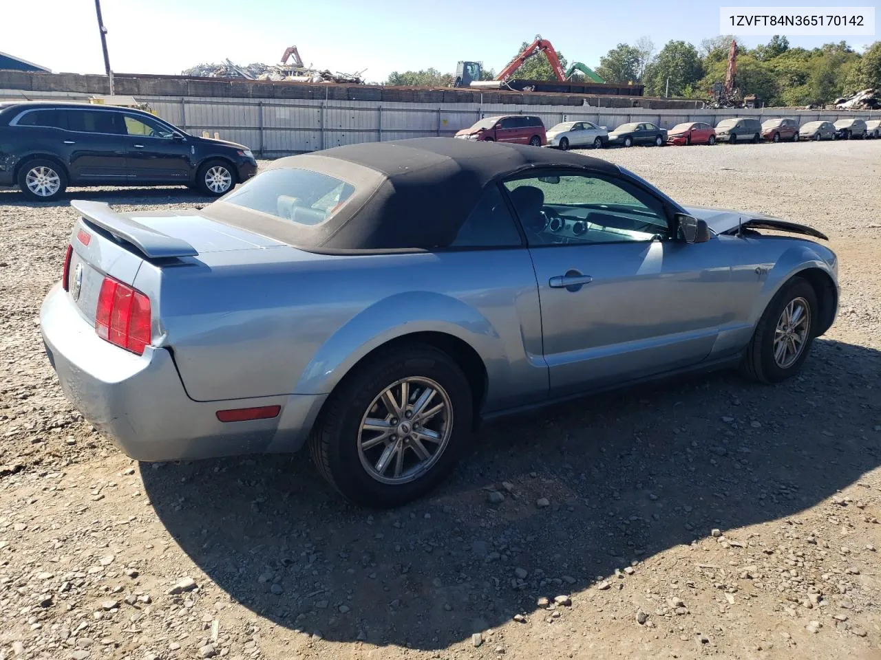 2006 Ford Mustang VIN: 1ZVFT84N365170142 Lot: 69786074