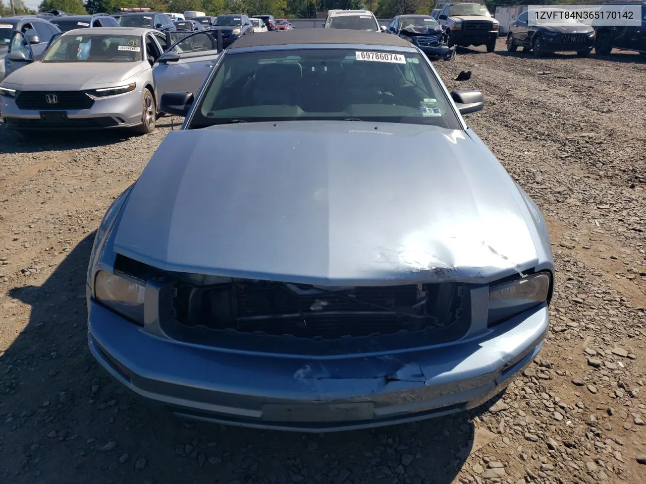 1ZVFT84N365170142 2006 Ford Mustang