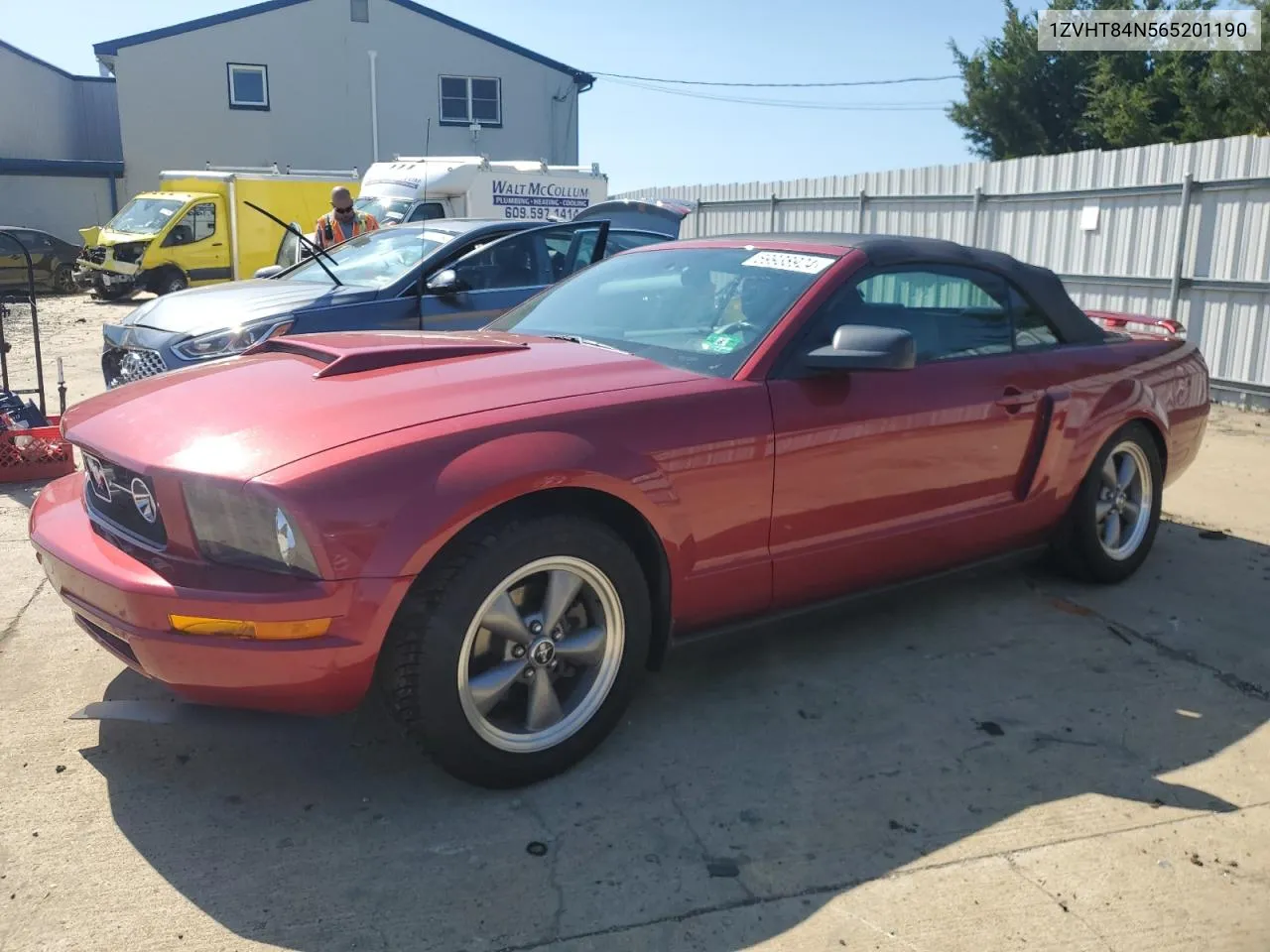 2006 Ford Mustang VIN: 1ZVHT84N565201190 Lot: 69938924