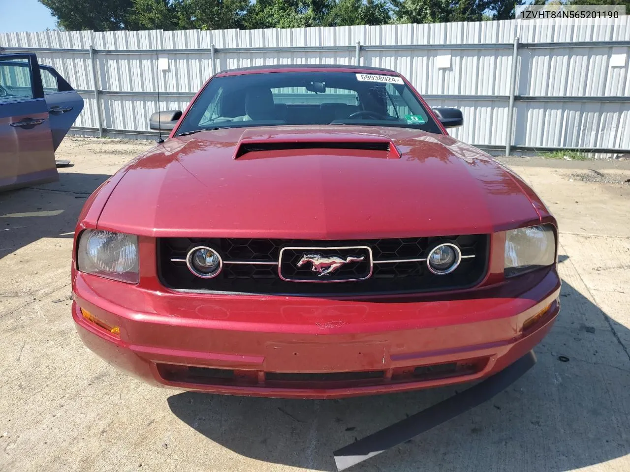 2006 Ford Mustang VIN: 1ZVHT84N565201190 Lot: 69938924