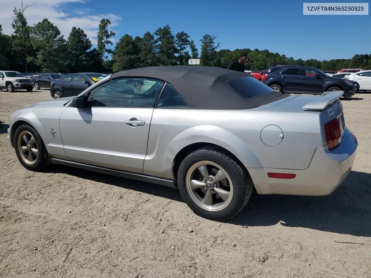 2006 Ford Mustang VIN: 1ZVFT84N365250525 Lot: 70303764