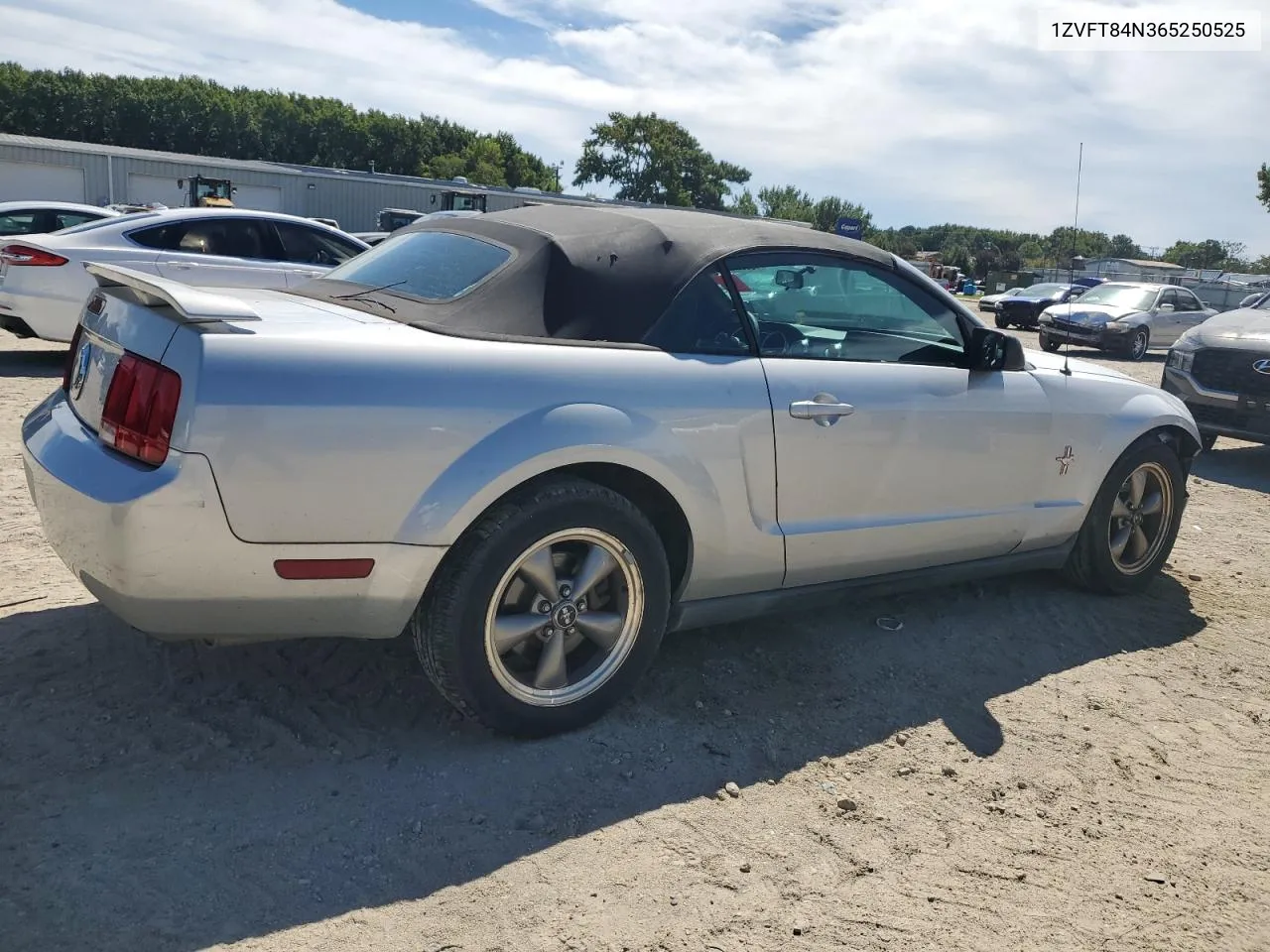 2006 Ford Mustang VIN: 1ZVFT84N365250525 Lot: 70303764