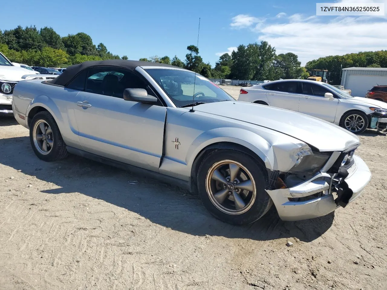 2006 Ford Mustang VIN: 1ZVFT84N365250525 Lot: 70303764