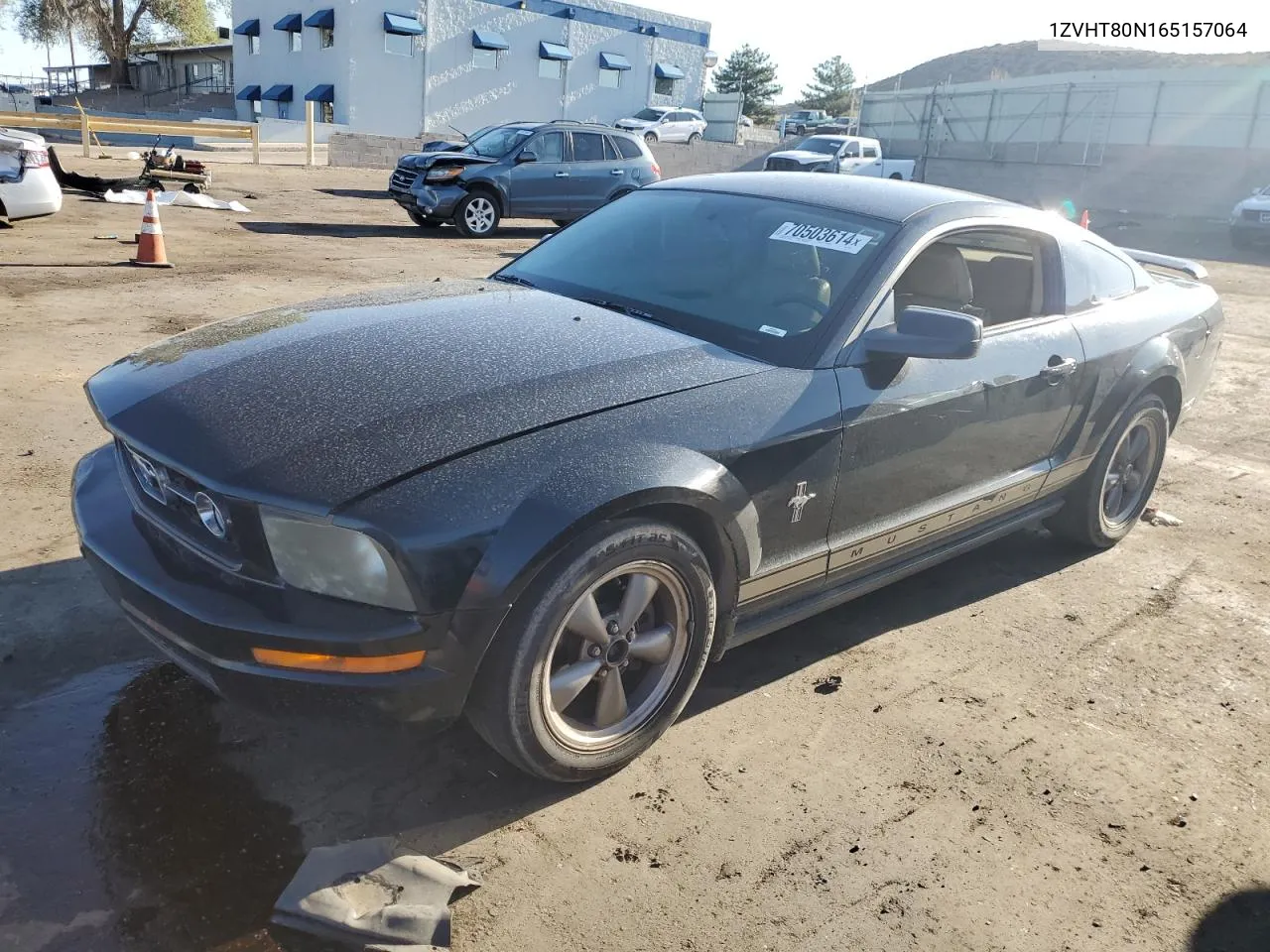 2006 Ford Mustang VIN: 1ZVHT80N165157064 Lot: 70503614