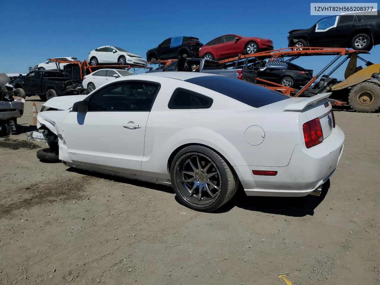 2006 Ford Mustang Gt VIN: 1ZVHT82H565208377 Lot: 70503684