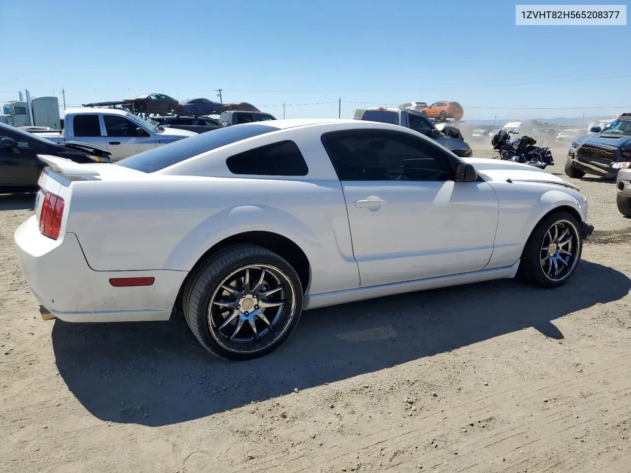 2006 Ford Mustang Gt VIN: 1ZVHT82H565208377 Lot: 70503684