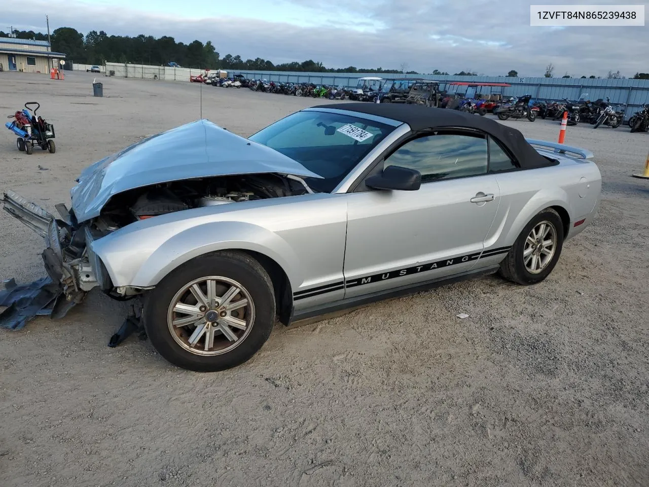 2006 Ford Mustang VIN: 1ZVFT84N865239438 Lot: 71591784